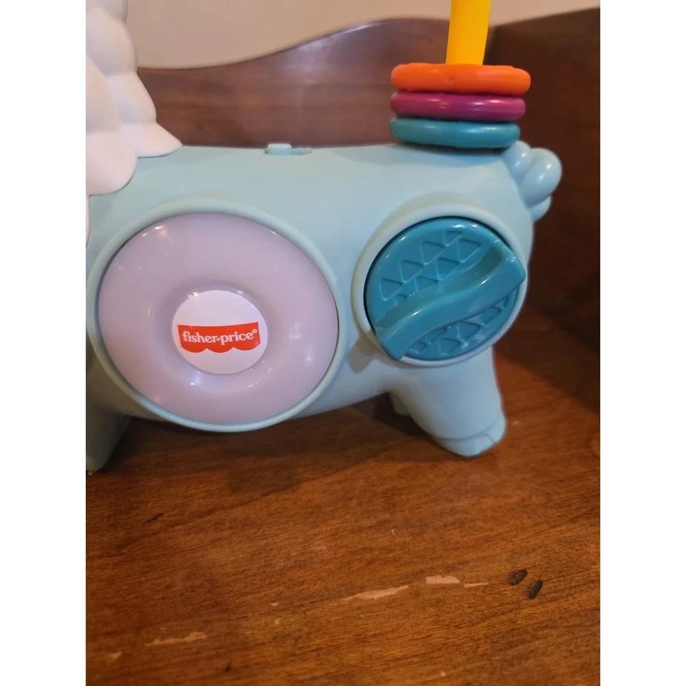 Fisher-Price this fisher